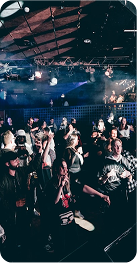 Concert crowd with stage lights